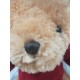 【團購商品,10隻起做】TKU微笑小熊_藍 【團購商品,10隻起做】TKU微笑小熊_藍