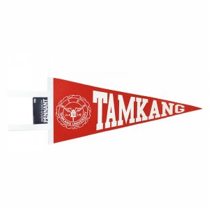 【團購商品，30個起做】TKU校徽三角旗
